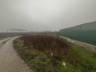 Teren INTRAVILAN de vânzare în CLINCENI-Bragadiru  553 mp 