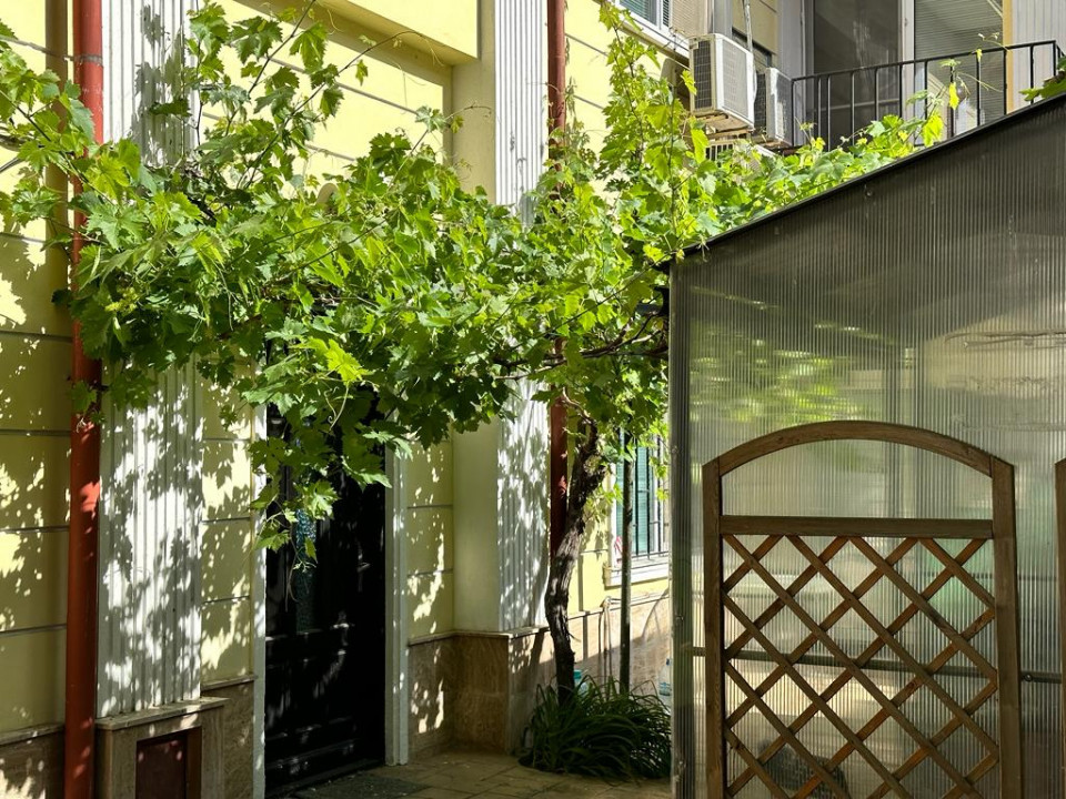 Vila  zona centrală , pretabil Clinica/Showroom/Atelier/ Afterschool/ Birouri