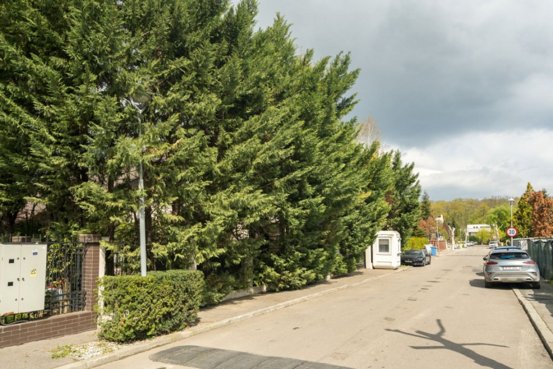 IANCU NICOLAE - COMPLEX TRAIAN, VILA PREMIUM 300 MPU, LOT 750 MP!