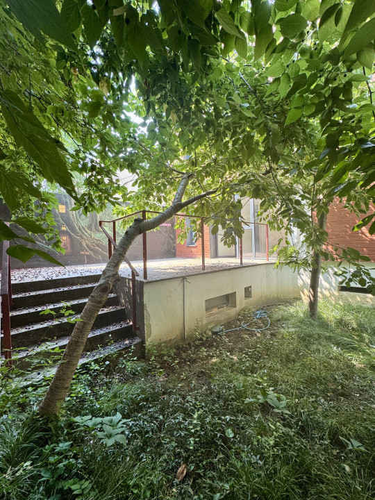 Spatiu Birouri cu Terasa si gradina proprie in zona Barbu Vacarescu - Titeica