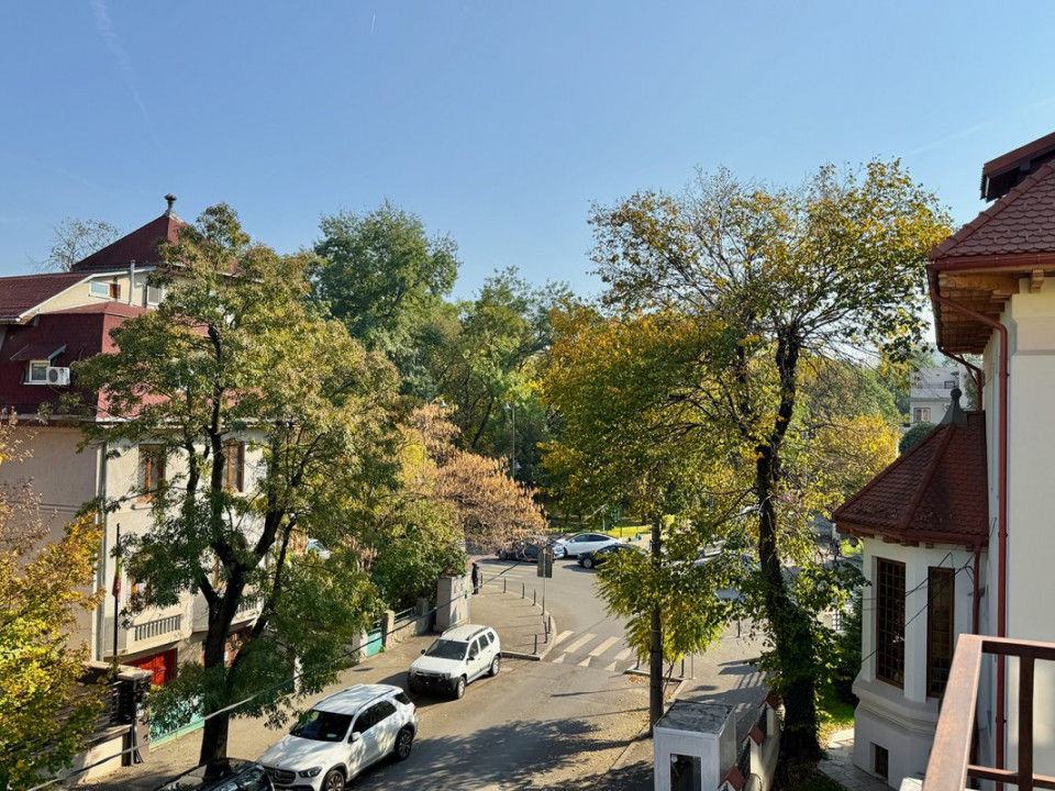 Vezi Parcul Kiseleff! Apartament spectaculos, 4 camere, 175mp