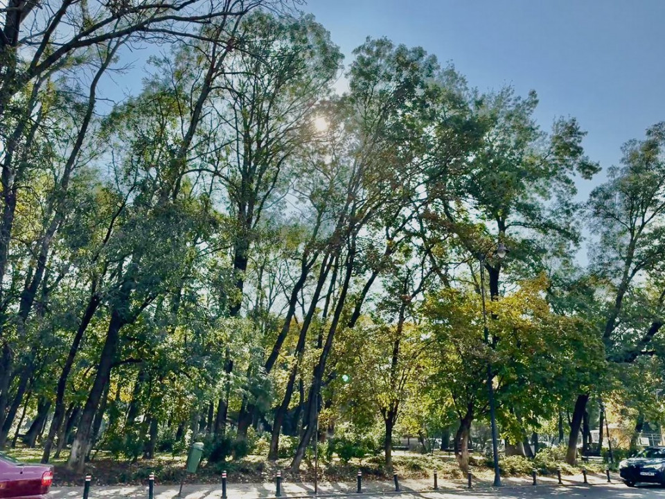 Vezi Parcul Kiseleff! Apartament spectaculos, 4 camere, 175mp