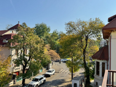 Vezi Parcul Kiseleff! Apartament spectaculos, 4 camere, 175mp