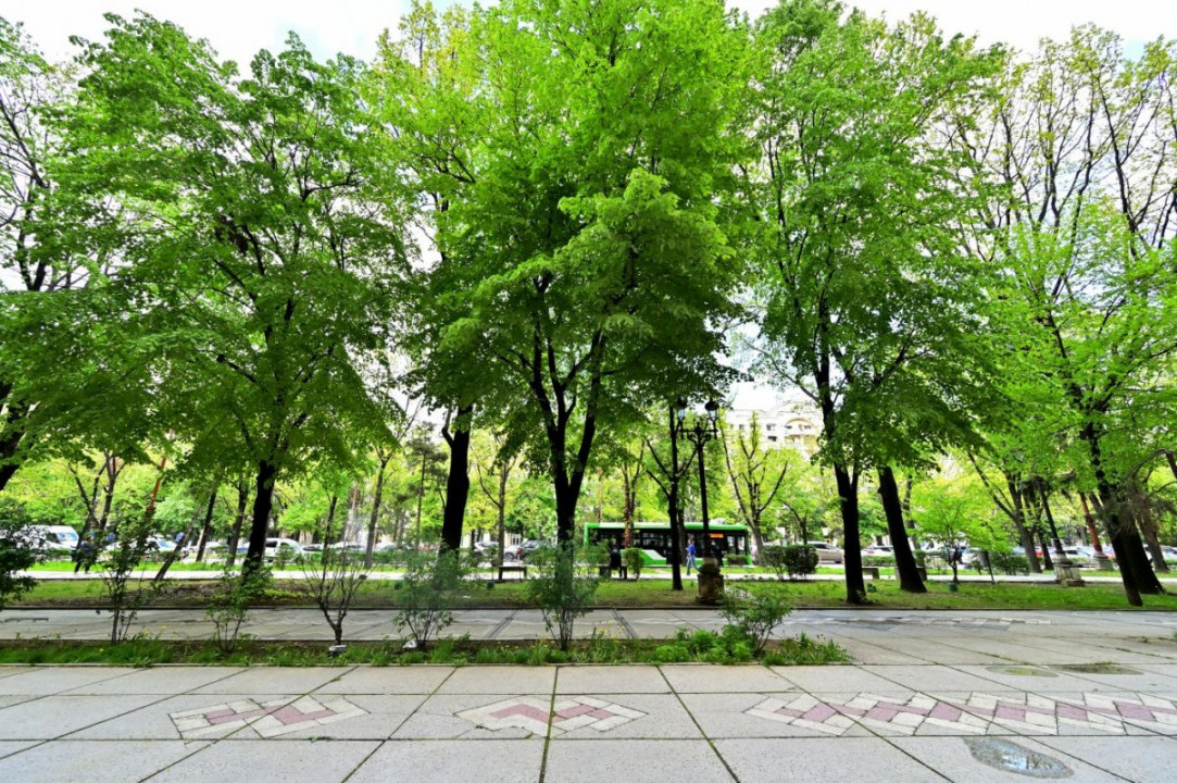 Vanzare apartament Duplex 4 camere Bulevardul Uniri nr.12