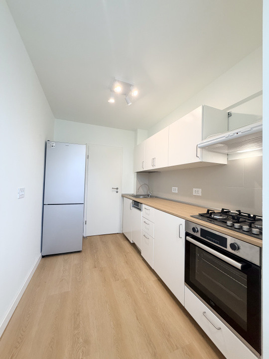 Apartament proaspăt Renovat în Piața Muncii-Basarabia