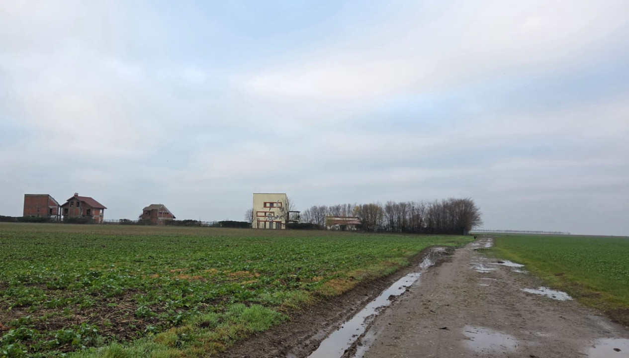 Frumusani-Pasarea '70 loturi cu drum într-o zona in dezvoltare 