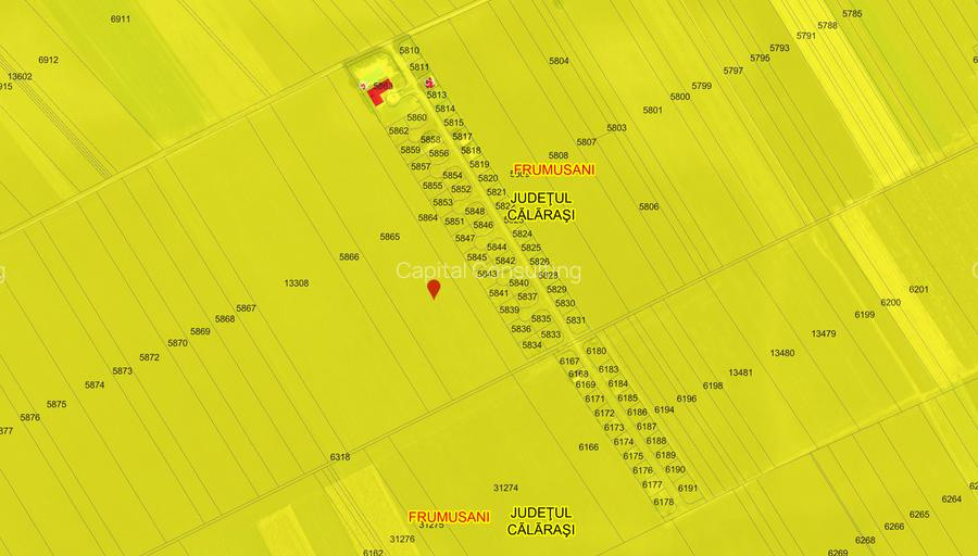 Frumusani-Pasarea '70 loturi cu drum într-o zona in dezvoltare 