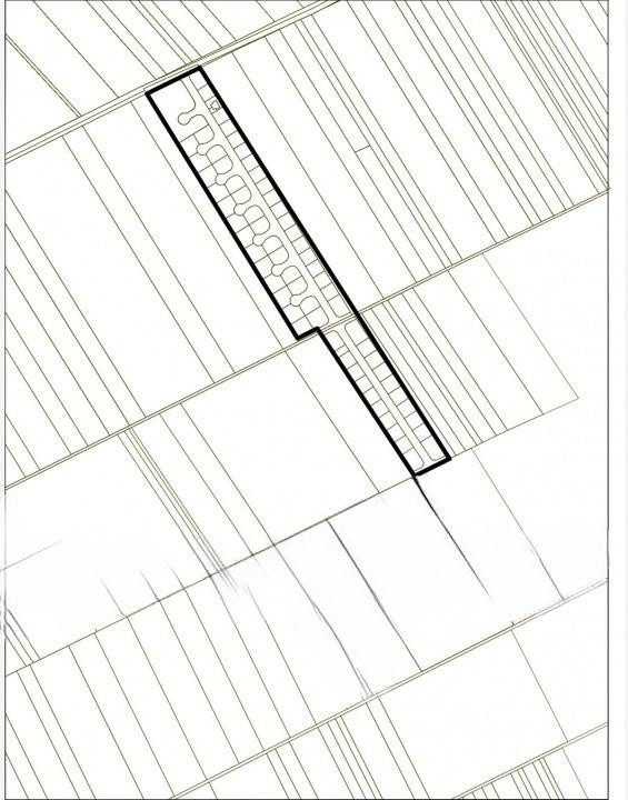 Frumusani-Pasarea '70 loturi cu drum într-o zona in dezvoltare 
