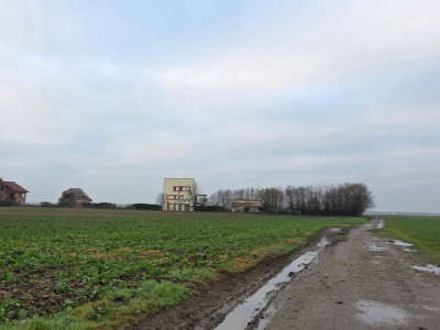 Frumusani-Pasarea '70 loturi cu drum într-o zona in dezvoltare 