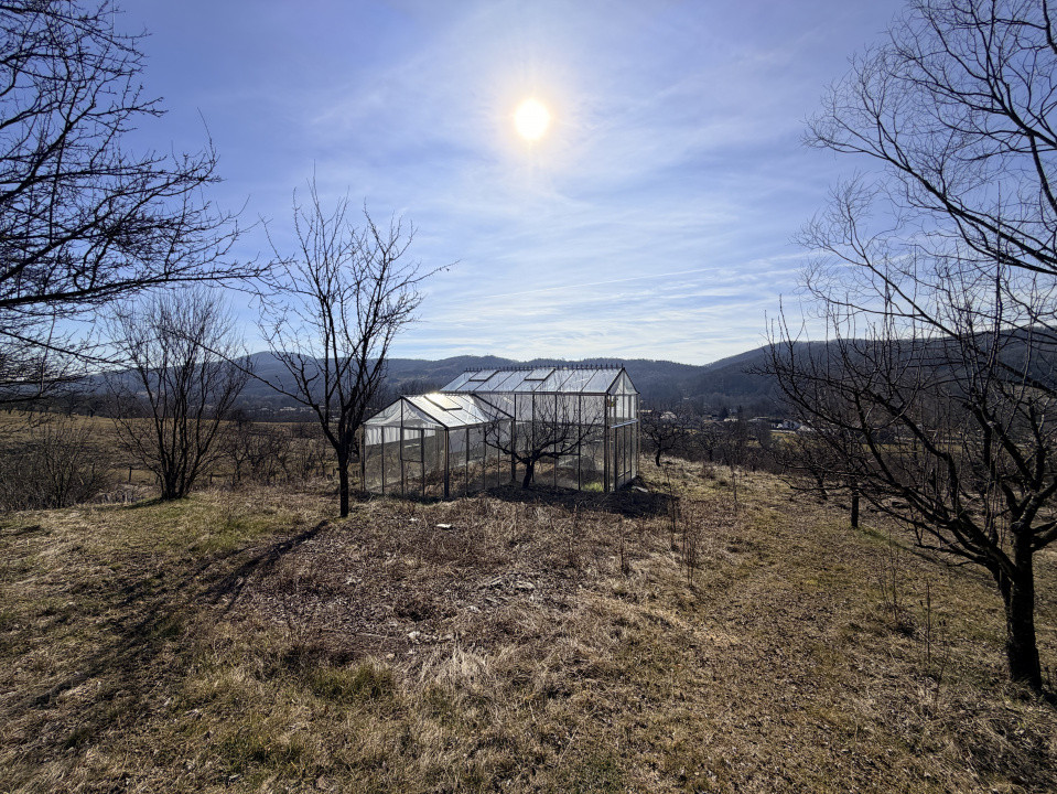 Refugiu Exclusivist Prahova Casa cu 5.2 ha, Panoramă Pârâu și Potențial Turistic