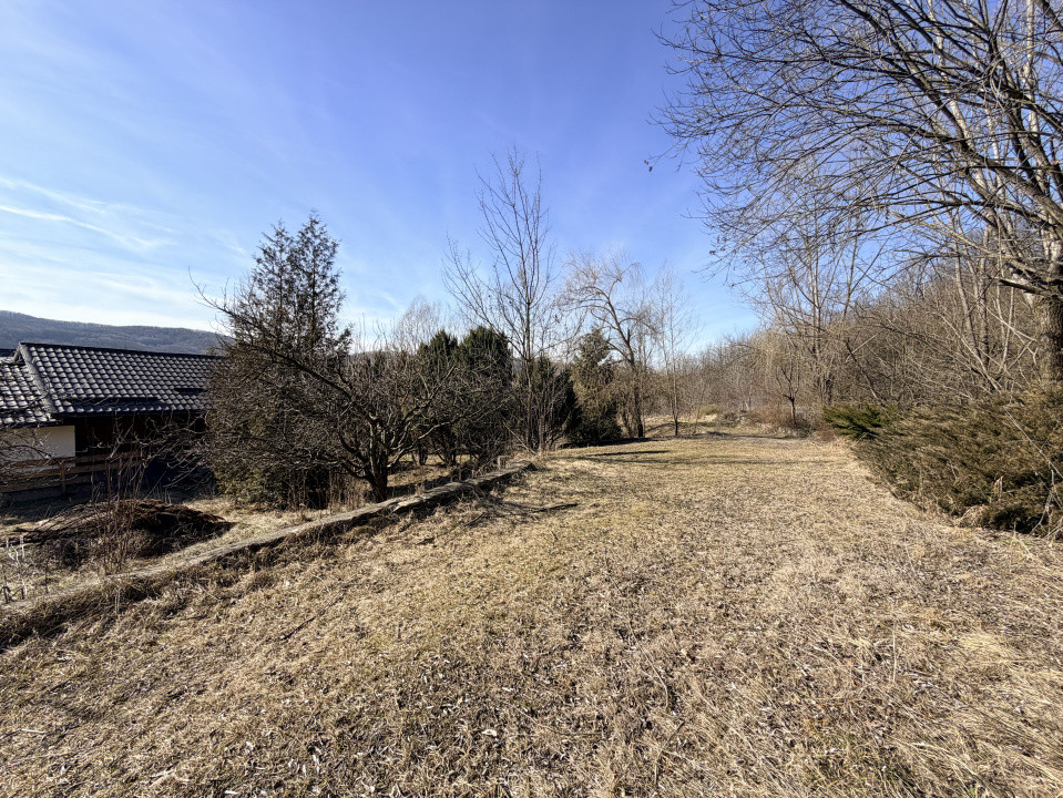 Refugiu Exclusivist Prahova Casa cu 5.2 ha, Panoramă Pârâu și Potențial Turistic