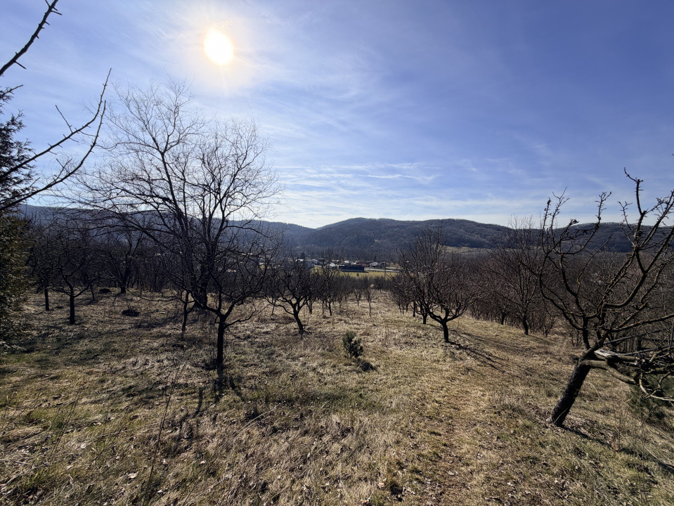 Refugiu Exclusivist Prahova Casa cu 5.2 ha, Panoramă Pârâu și Potențial Turistic