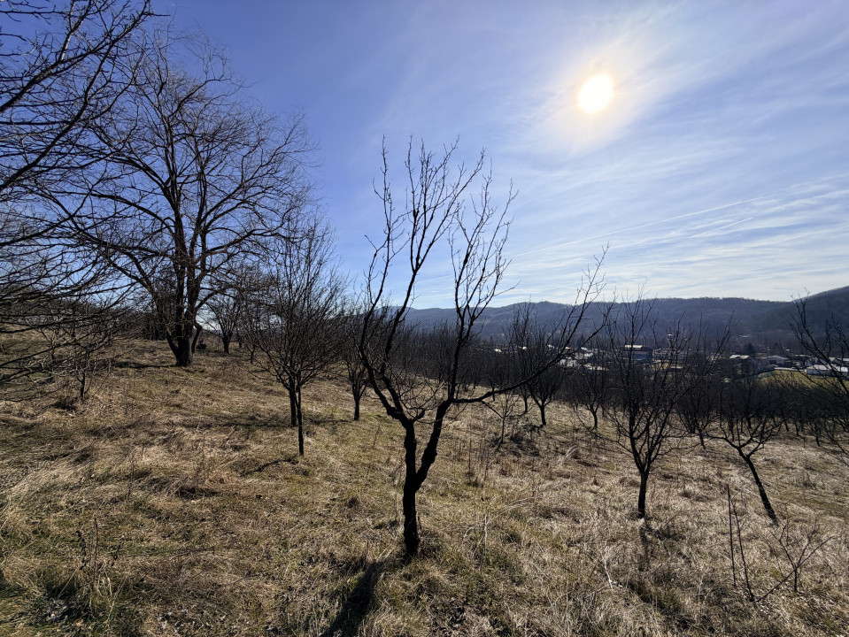 Refugiu Exclusivist Prahova Casa cu 5.2 ha, Panoramă Pârâu și Potențial Turistic