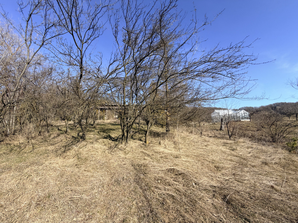 Refugiu Exclusivist Prahova Casa cu 5.2 ha, Panoramă Pârâu și Potențial Turistic