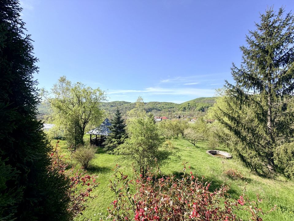 Refugiu Exclusivist Prahova Casa cu 5.2 ha, Panoramă Pârâu și Potențial Turistic