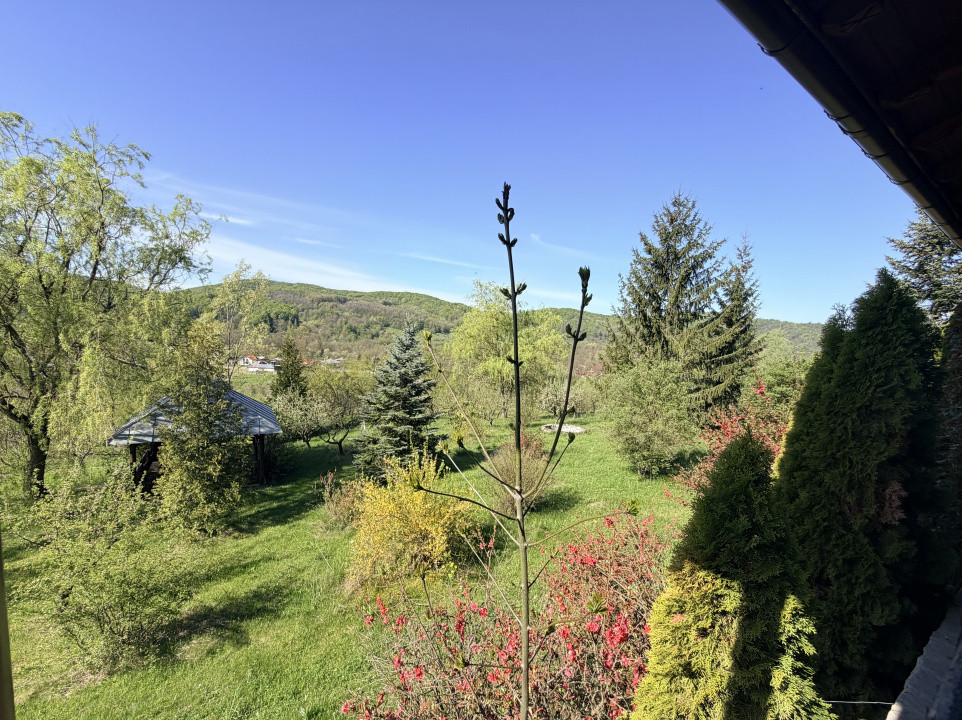 Refugiu Exclusivist Prahova Casa cu 5.2 ha, Panoramă Pârâu și Potențial Turistic