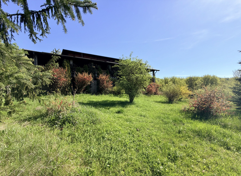 Refugiu Exclusivist Prahova Casa cu 5.2 ha, Panoramă Pârâu și Potențial Turistic