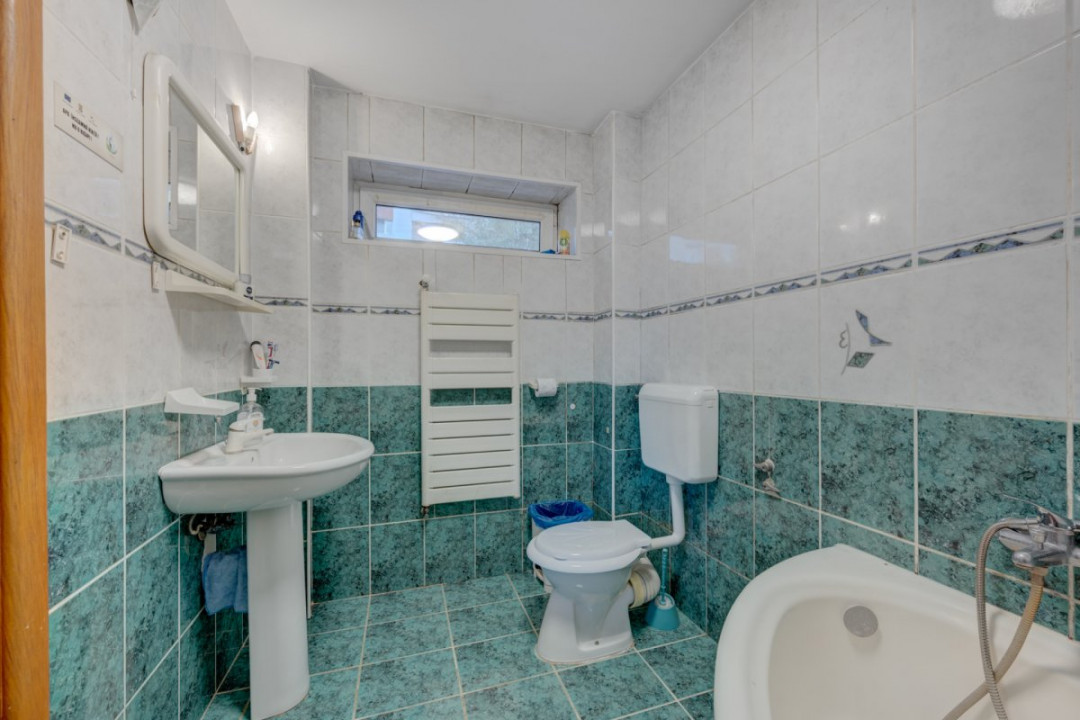 Vila de vanzare Domenii-Ion Mihalache