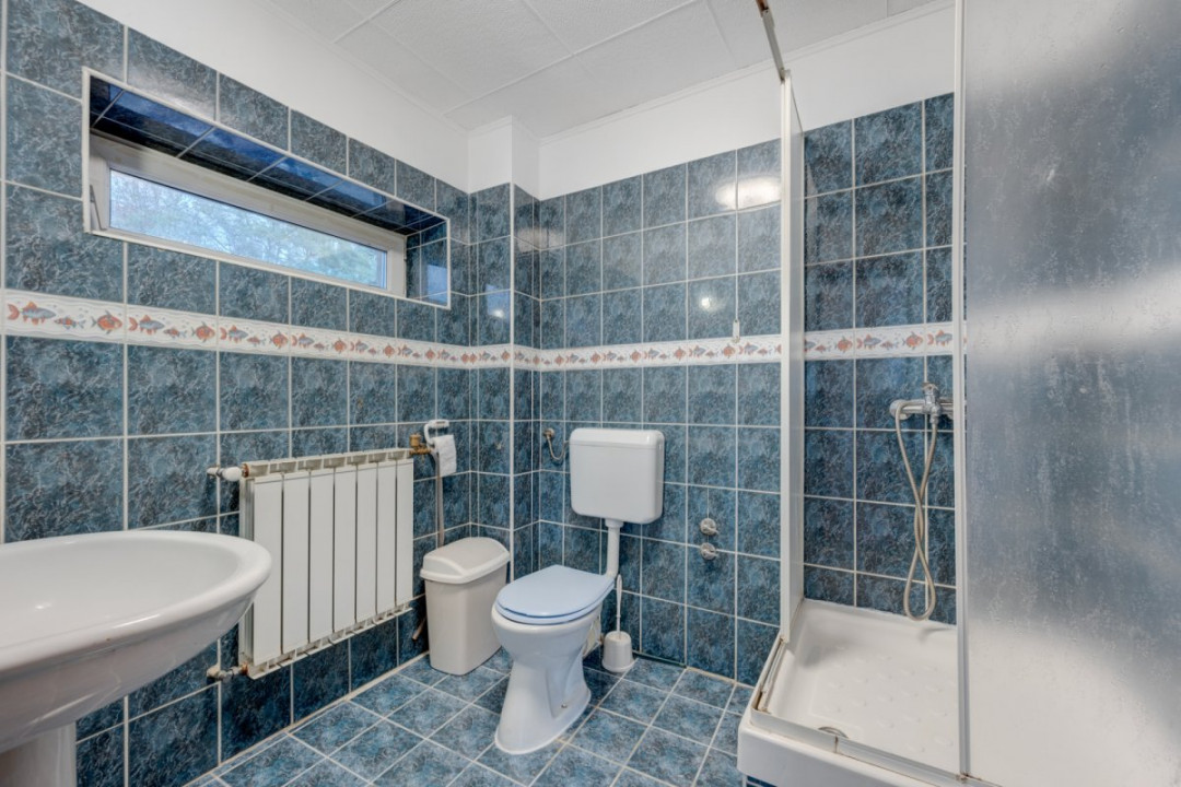 Vila de vanzare Domenii-Ion Mihalache