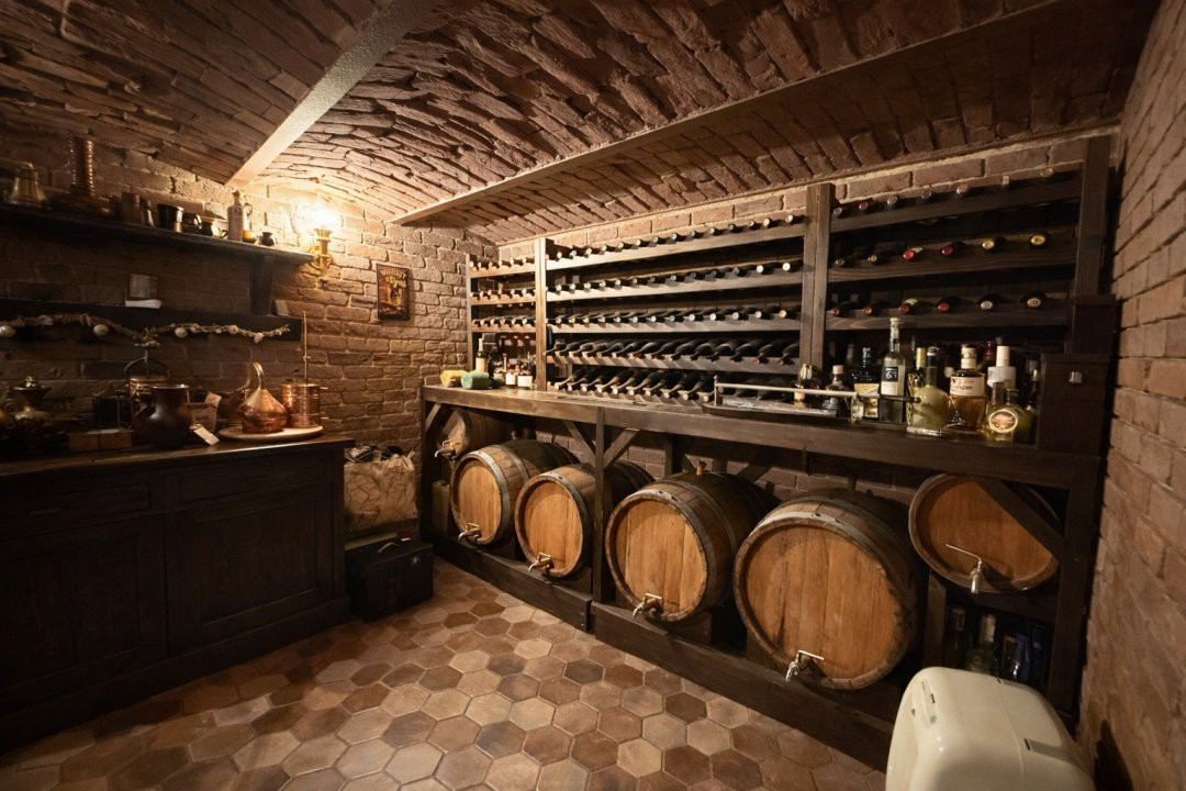 Vilă ultracentrală cu piscină interioară, saună și cramă | Unirii