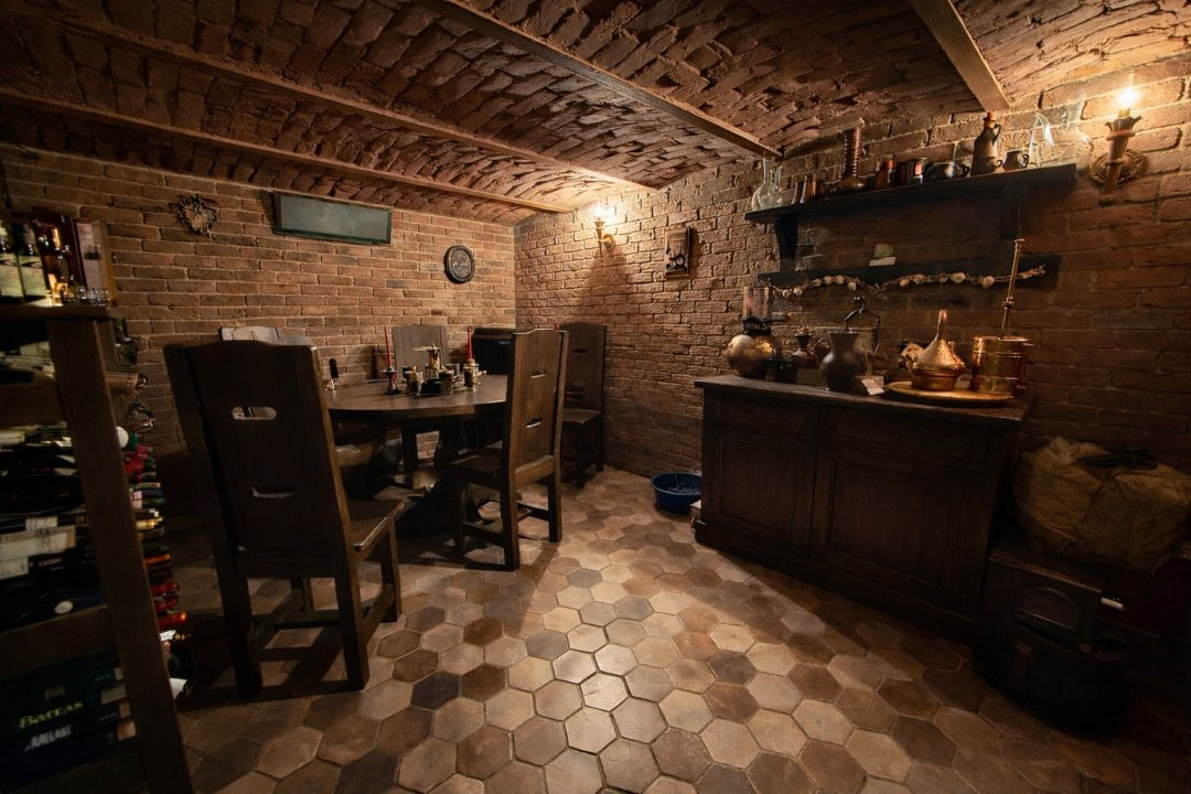 Vilă ultracentrală cu piscină interioară, saună și cramă | Unirii