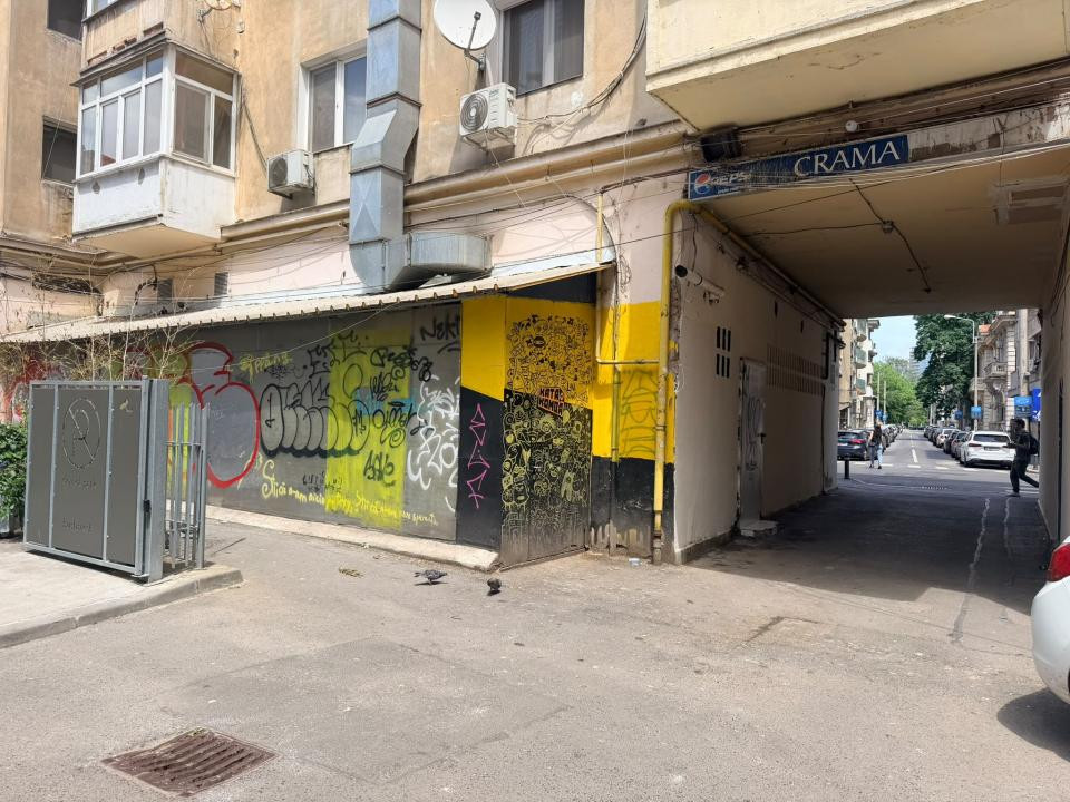 Demisol in Plevnei - Piata Kogalniceanu; pretabil productie/depozitare/atelier