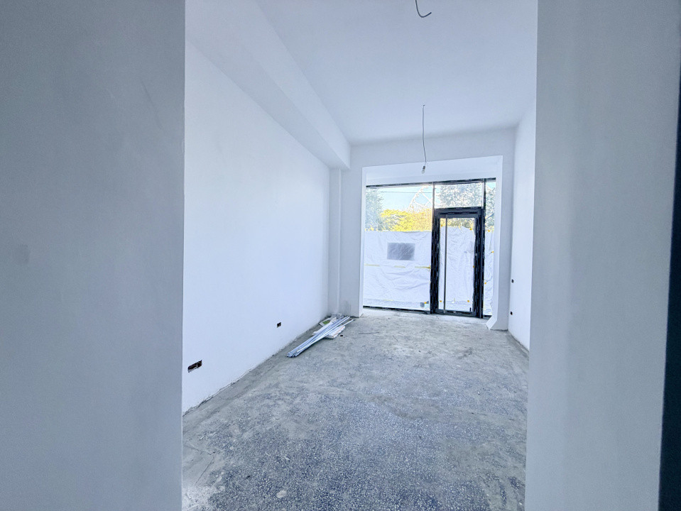 Spatiu Comercial, Lacul Tei, Stradal 