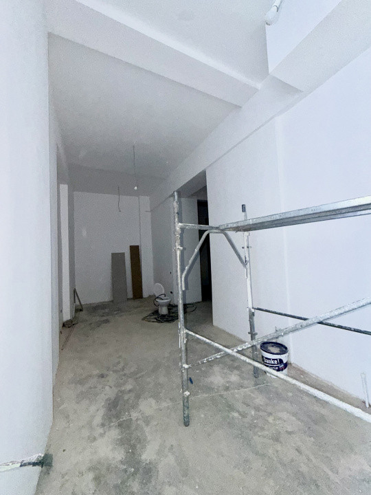 Spatiu Comercial, Lacul Tei, Stradal 