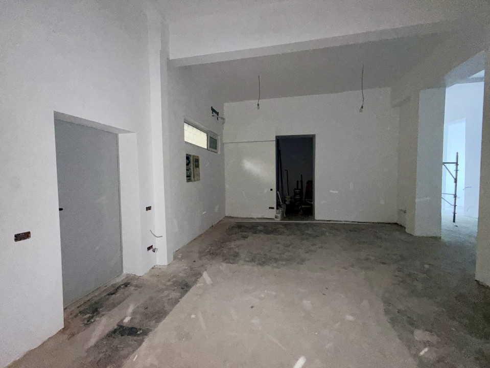Spatiu Comercial, Lacul Tei, Stradal 