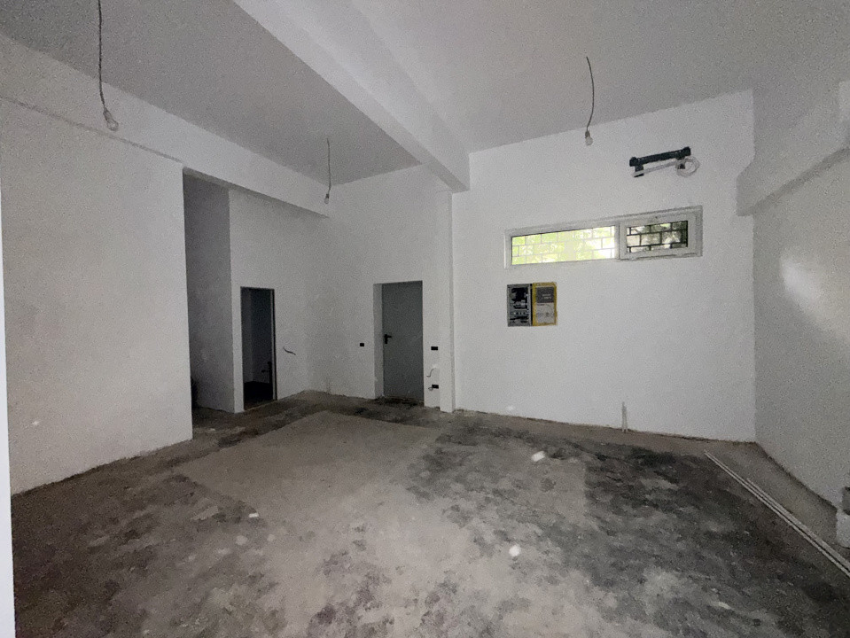 Spatiu Comercial, Lacul Tei, Stradal 