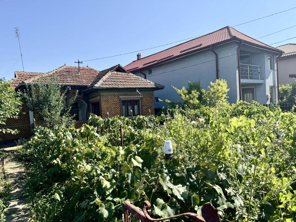 Oportunitate de investiție – Teren 3.000 mp în Gruiu, Ilfov
