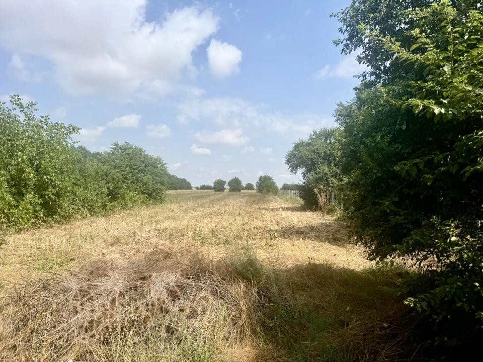 Oportunitate de investiție – Teren 3.000 mp în Gruiu, Ilfov