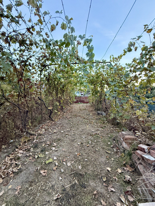 Oportunitate de investiție – Teren 3.000 mp în Gruiu, Ilfov