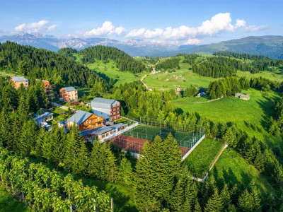 Ansamblu turistic, zona scenica, vedere, aer proaspat, preluare afacere ascendenta