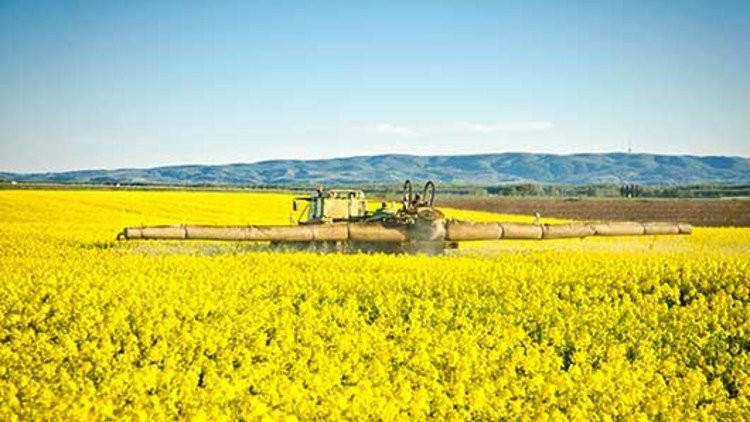 PORTOFOLIU AGRICOL PREMIUM 3.000 HA SUDUL ROMÂNIEI OPORTUNITATE INVESTIȚIONALĂ