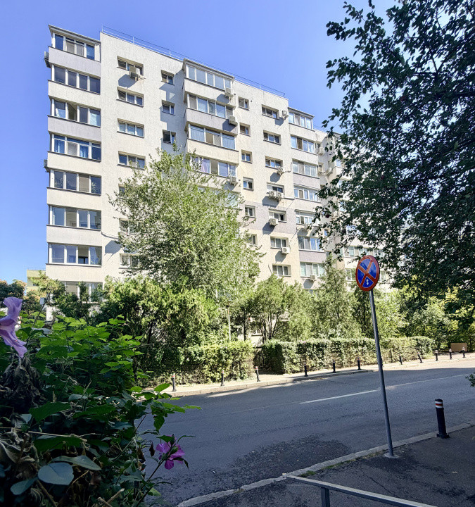 Cozy Studio luminos in Banu Manta - Victoriei cu pat si canapea