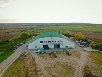 Hala industriala de vanzare in Biharia, Bihor, Romania 
